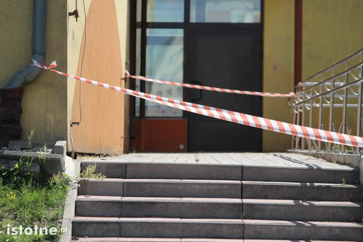 Gniazdo szerszeni w budynku szkoły przy Jana Pawła II
