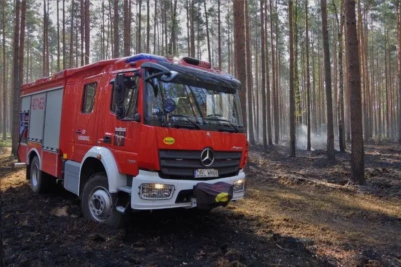 Pożar lasu w okolicach Wierzbowej. Akcja gaszenia ognia trwała ponad dobę