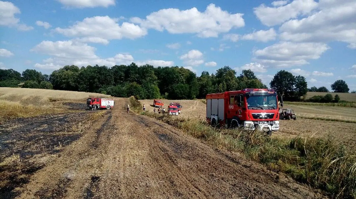 Pożar zboża koło Raciborowic