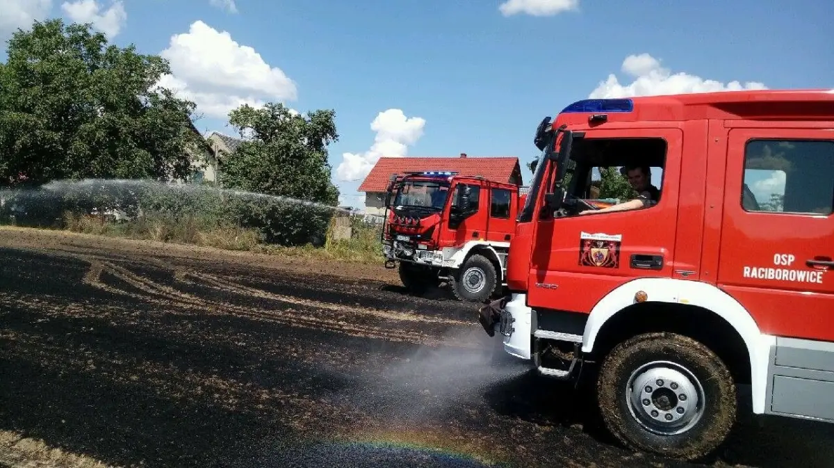 Pożar ścierniska w Iwinach