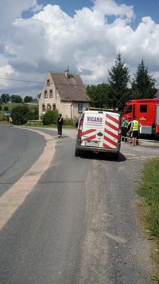 Tłusta plama na drodze z Sędzimirowa do Warty Bolesławieckiej