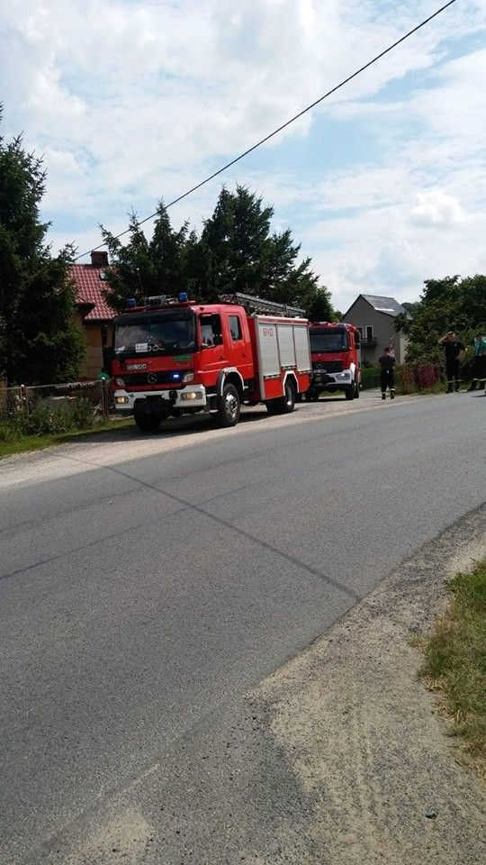 Tłusta plama na drodze z Sędzimirowa do Warty Bolesławieckiej