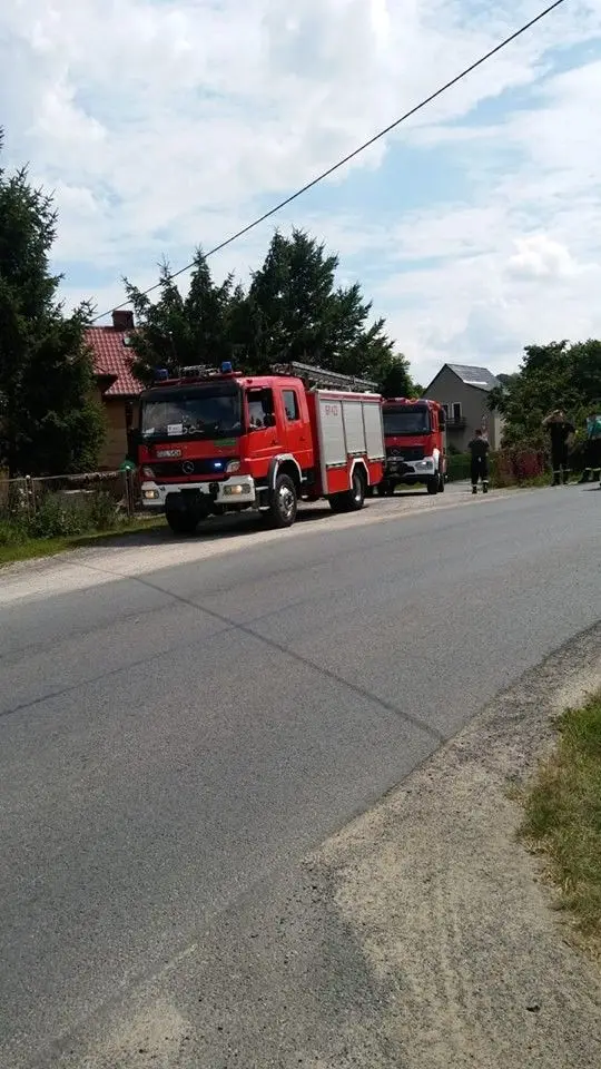Tłusta plama na drodze z Sędzimirowa do Warty Bolesławieckiej