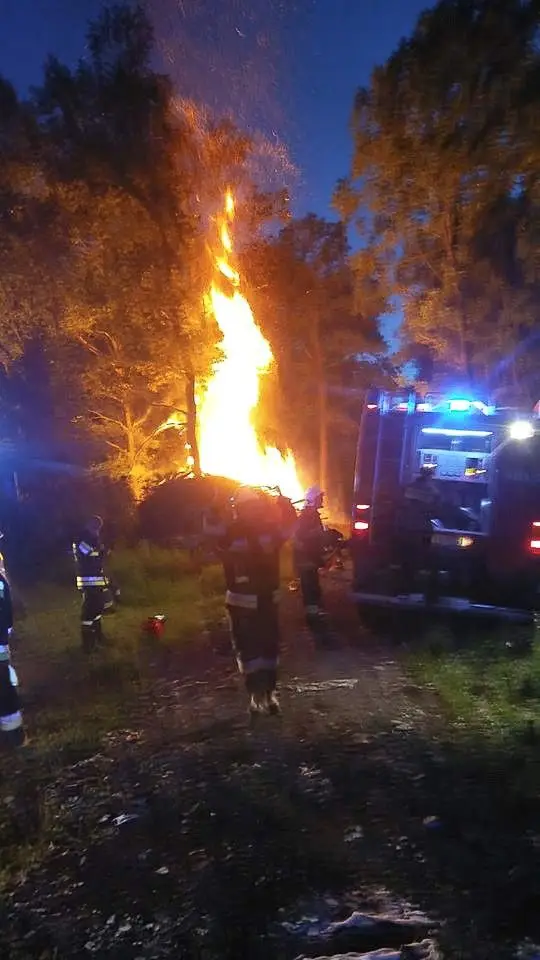 Pożar lasu w Tomaszowie