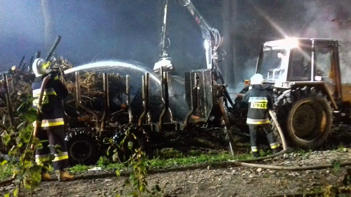 Pożar lasu w Tomaszowie