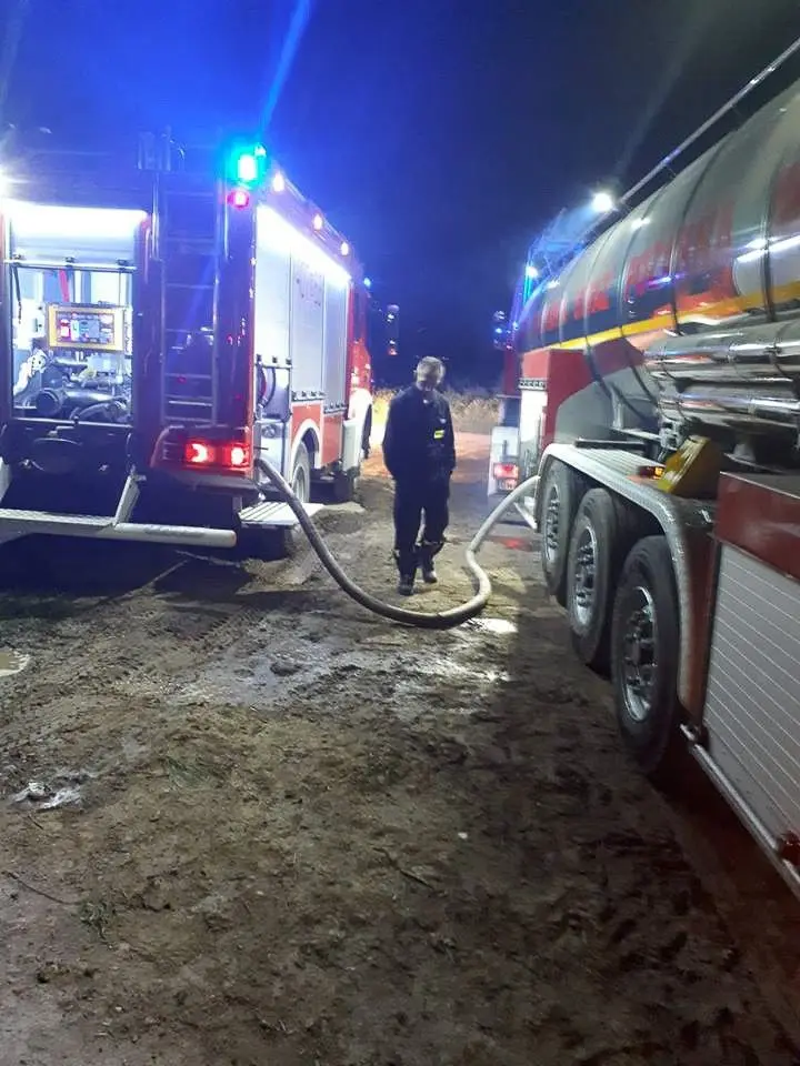 Pożar lasu w Tomaszowie