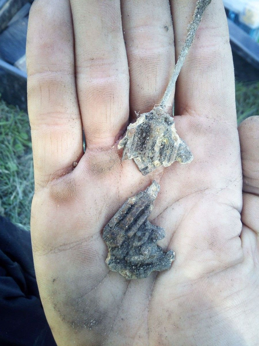 Gromadka: znaleźli kości niemieckich żołnierzy