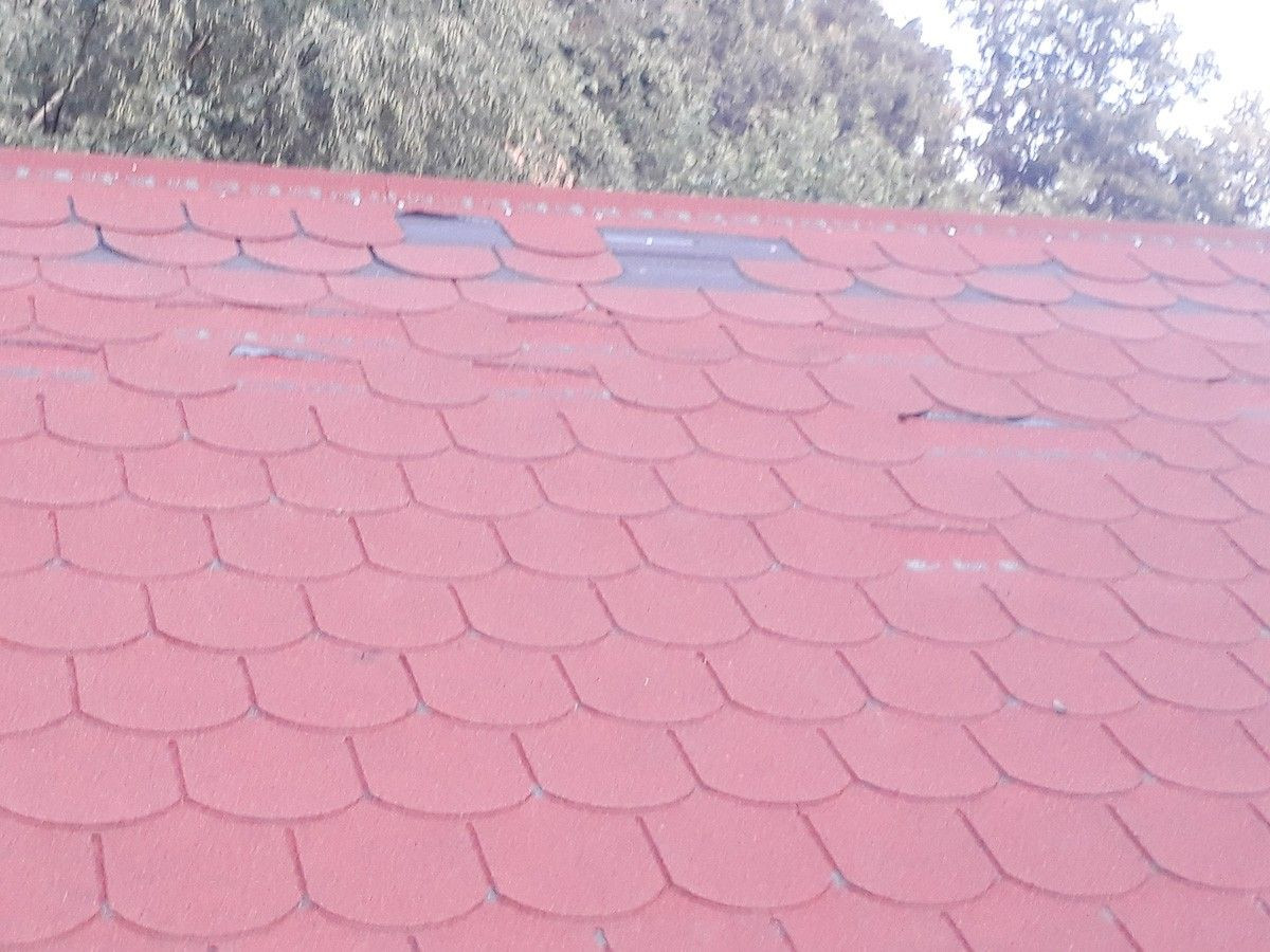 Chlew na placu zabaw w Golnicach