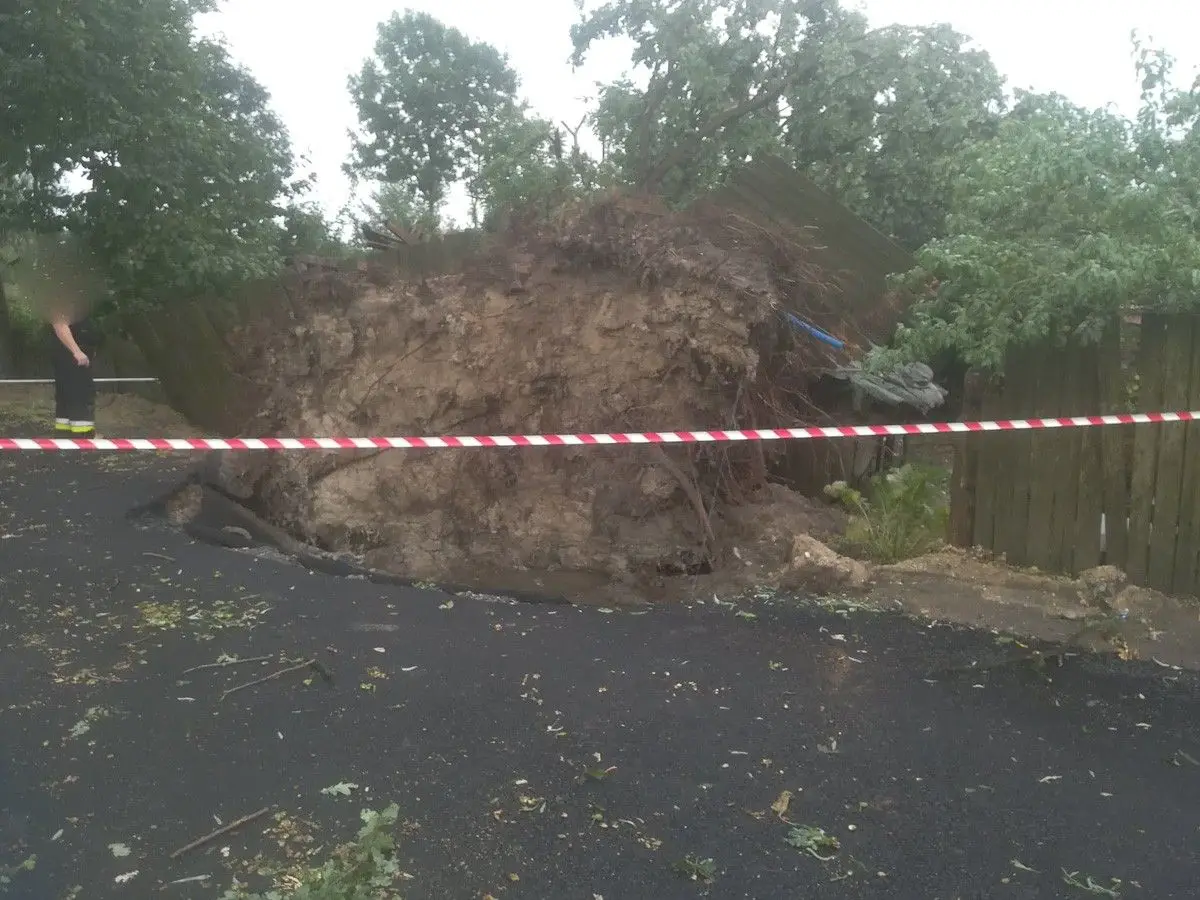 Nawałnica w Czernej (gmina Nowogrodziec)