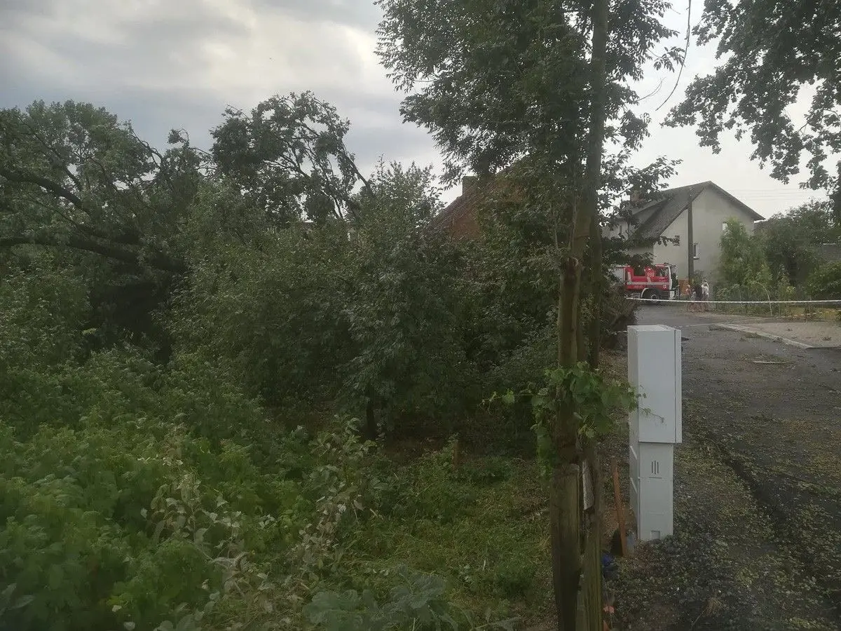 Nawałnica w Czernej (gmina Nowogrodziec)