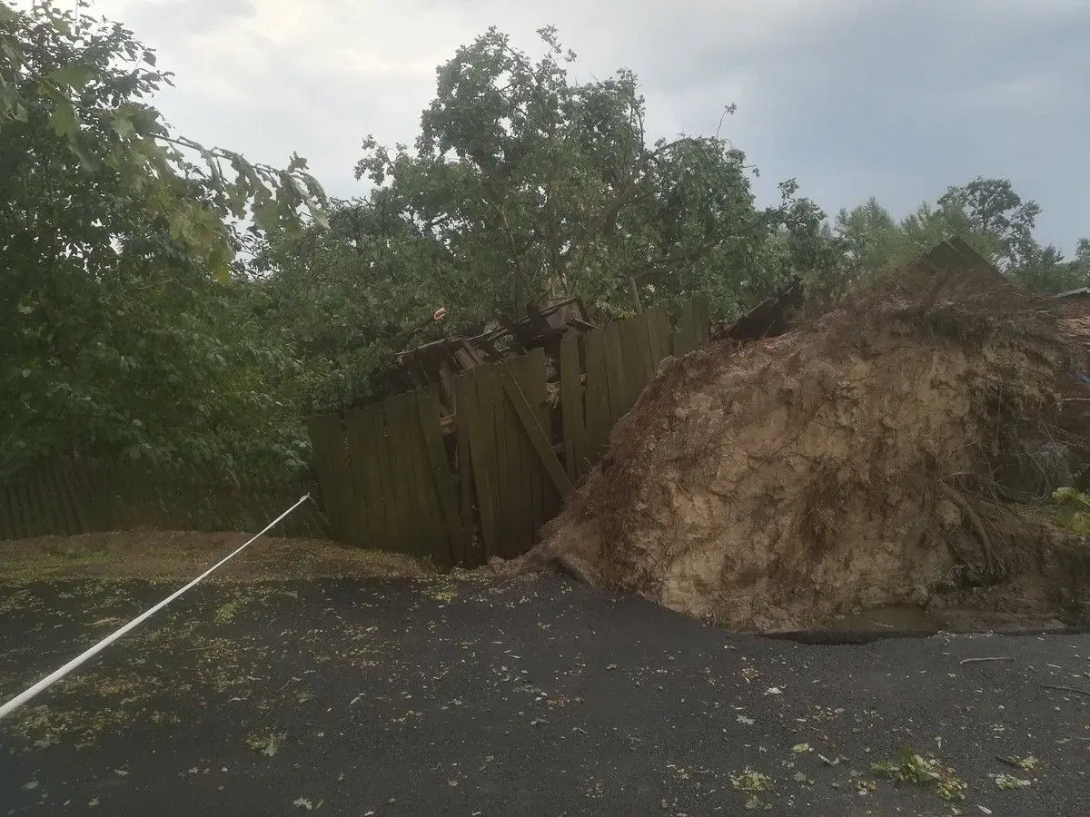 Nawałnica w Czernej (gmina Nowogrodziec)