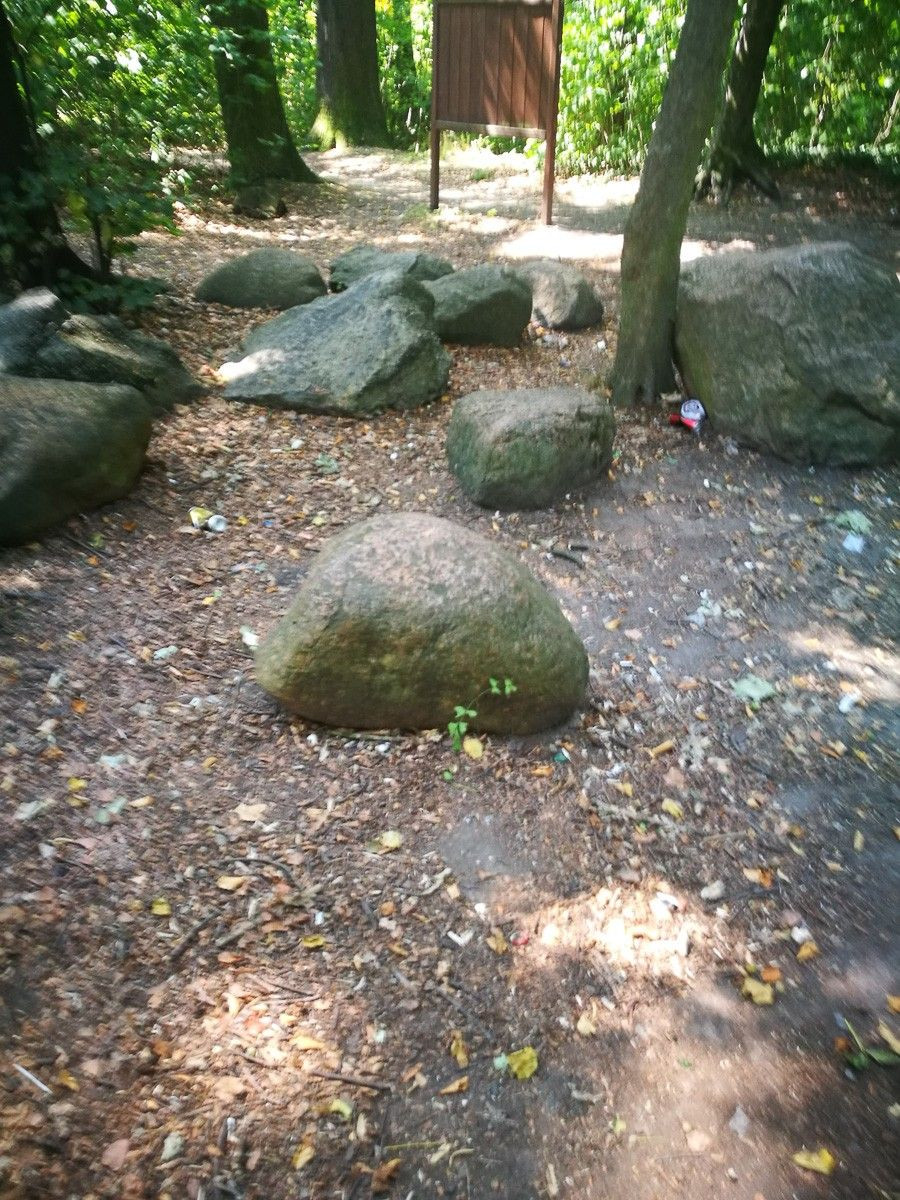 Harcerz posprzątał bajzel w lesie przy Jeleniogórskiej