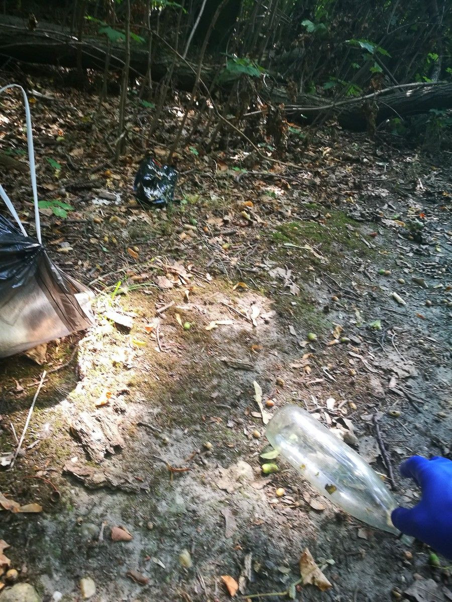 Harcerz posprzątał bajzel w lesie przy Jeleniogórskiej