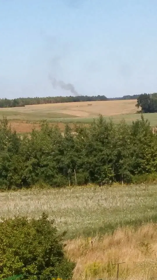 Pożar lasu w pobliżu Okmian