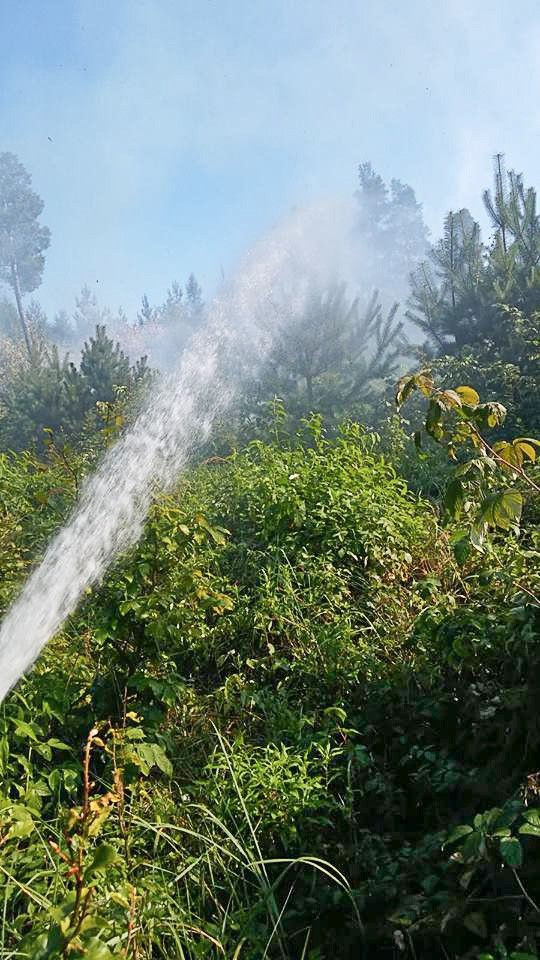 Pożar lasu w pobliżu Okmian