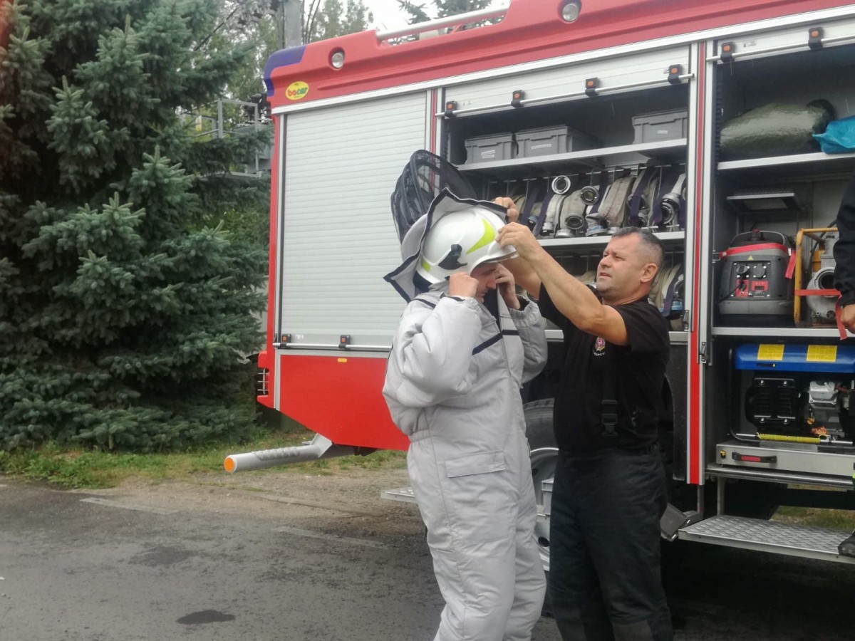 OSP Raciborowice: Akcja „Gniazdo os i szerszeni w Iwinach”