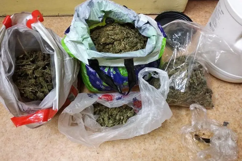 19-latek wpadł z dużą ilością narkotyków, nielegalnymi fajkami i pistoletem gazowym