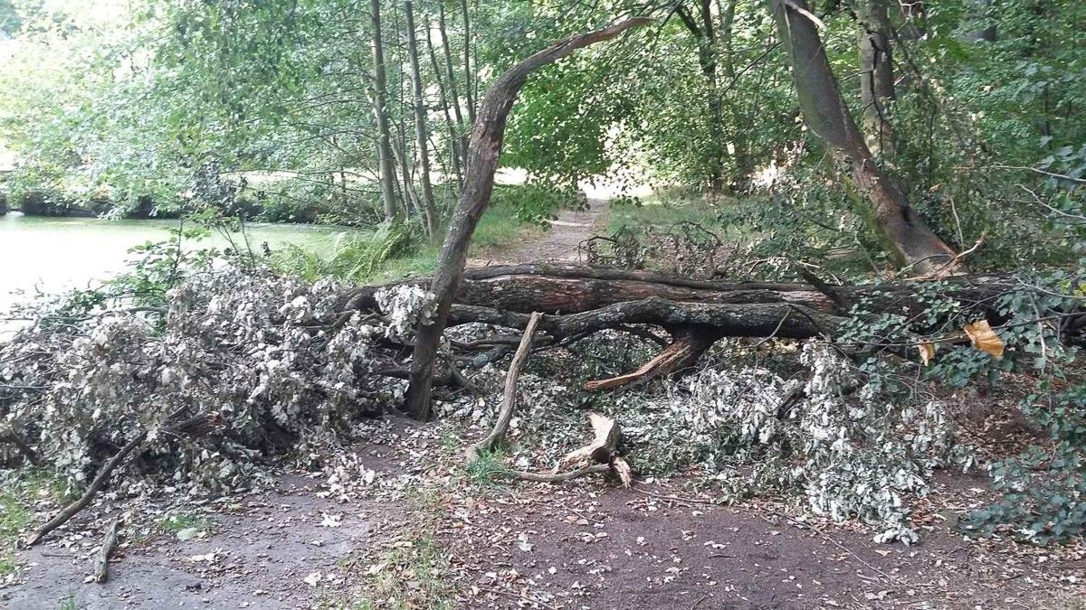 Niebezpiecznie przy Jeleniogórskiej