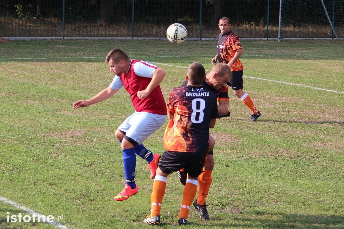 Rybak wysoko wygrywa w Brzeźniku