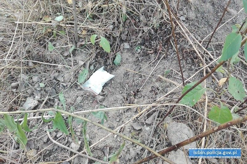 90 gramów amfetaminy ukrył w… chaszczach