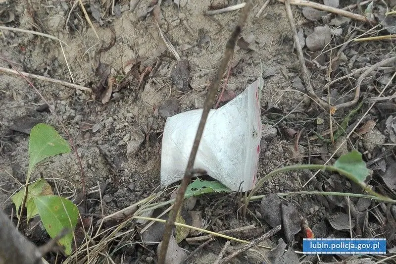 90 gramów amfetaminy ukrył w… chaszczach