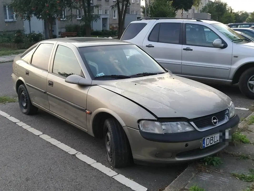 Wraki dwóch Opli straszą przy Kosiby