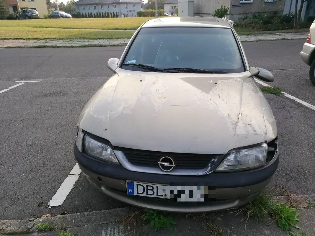 Wraki dwóch Opli straszą przy Kosiby