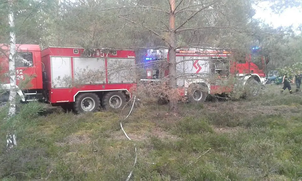 Pożar lasu w pobliżu Pstrąża (gmina Bolesławiec)
