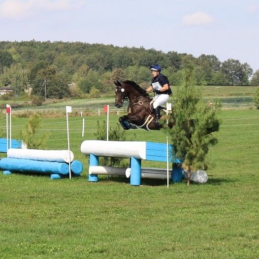 Mistrz jeździectwa z „Handlówki”