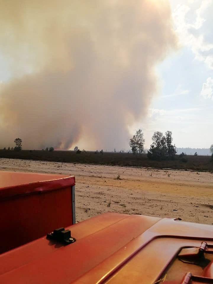 50 zastępów straży i 5 samolotów. Straszny pożar na poligonie w Świętoszowie