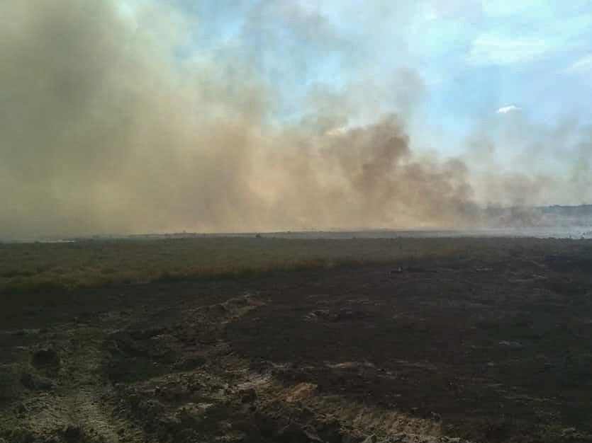 50 zastępów straży i 5 samolotów. Straszny pożar na poligonie w Świętoszowie