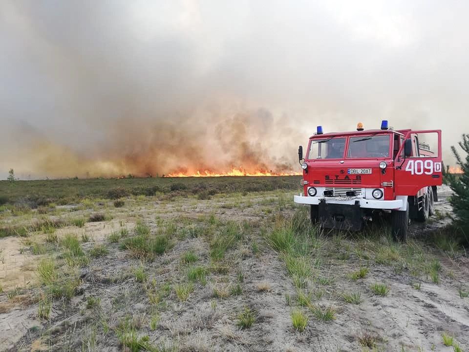 50 zastępów straży i 5 samolotów. Straszny pożar na poligonie w Świętoszowie