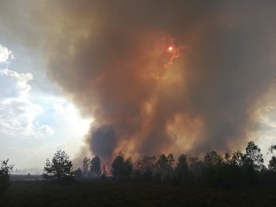 50 zastępów straży i 5 samolotów. Straszny pożar na poligonie w Świętoszowie