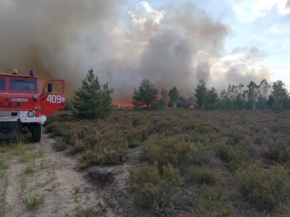 50 zastępów straży i 5 samolotów. Straszny pożar na poligonie w Świętoszowie