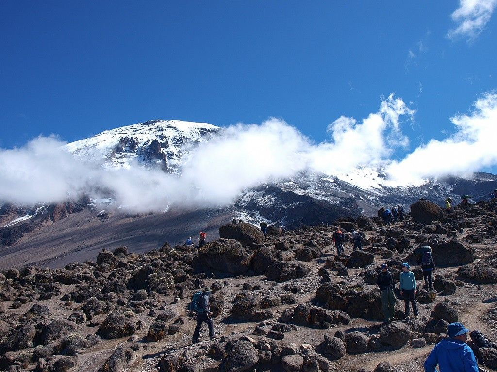 Bolesławiecki artylerzysta zdobył Kilimandżaro, najwyższy szczyt Afryki!