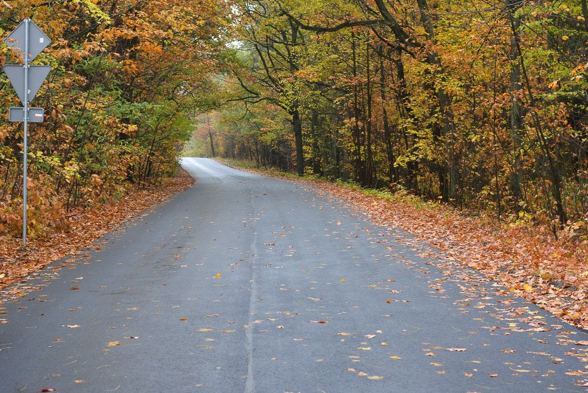 Najkoszmarniejszy odcinek drogi do Starych Jaroszowic wyremontowany