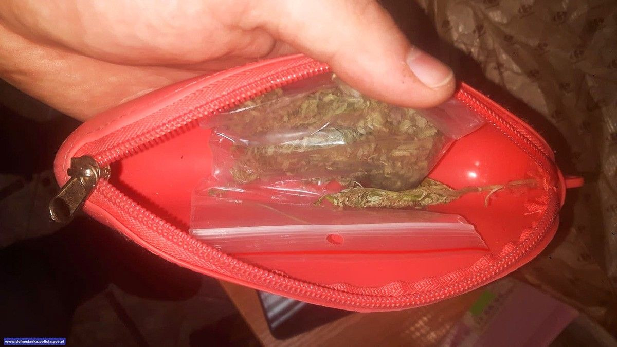 Nastolatek wpadł z dwoma… kilogramami marychy