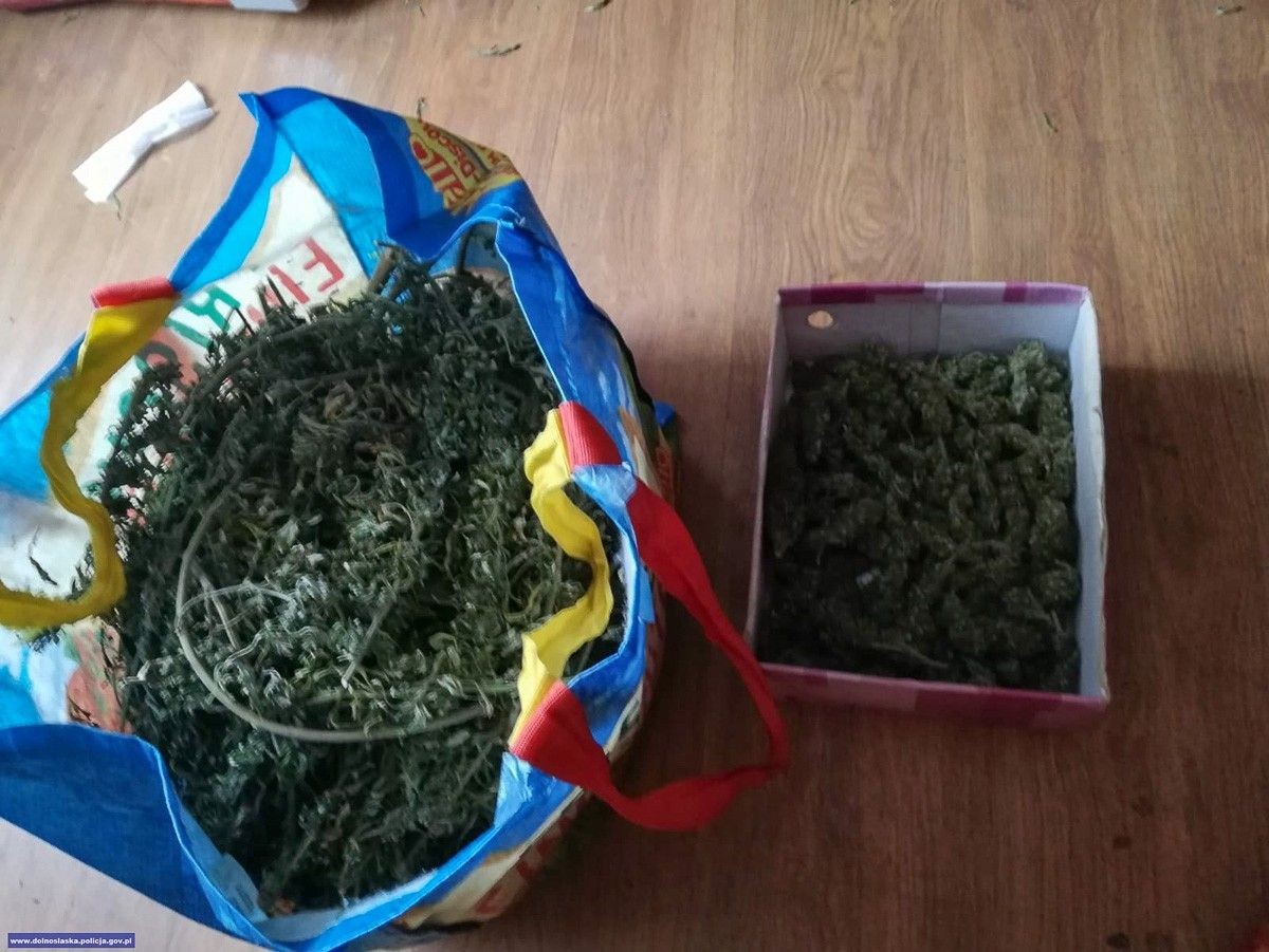 Nastolatek wpadł z dwoma… kilogramami marychy