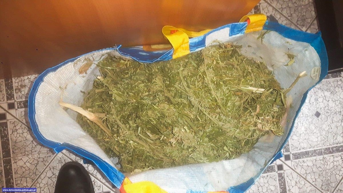 Nastolatek wpadł z dwoma… kilogramami marychy