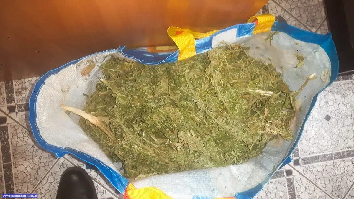 Nastolatek wpadł z dwoma… kilogramami marychy