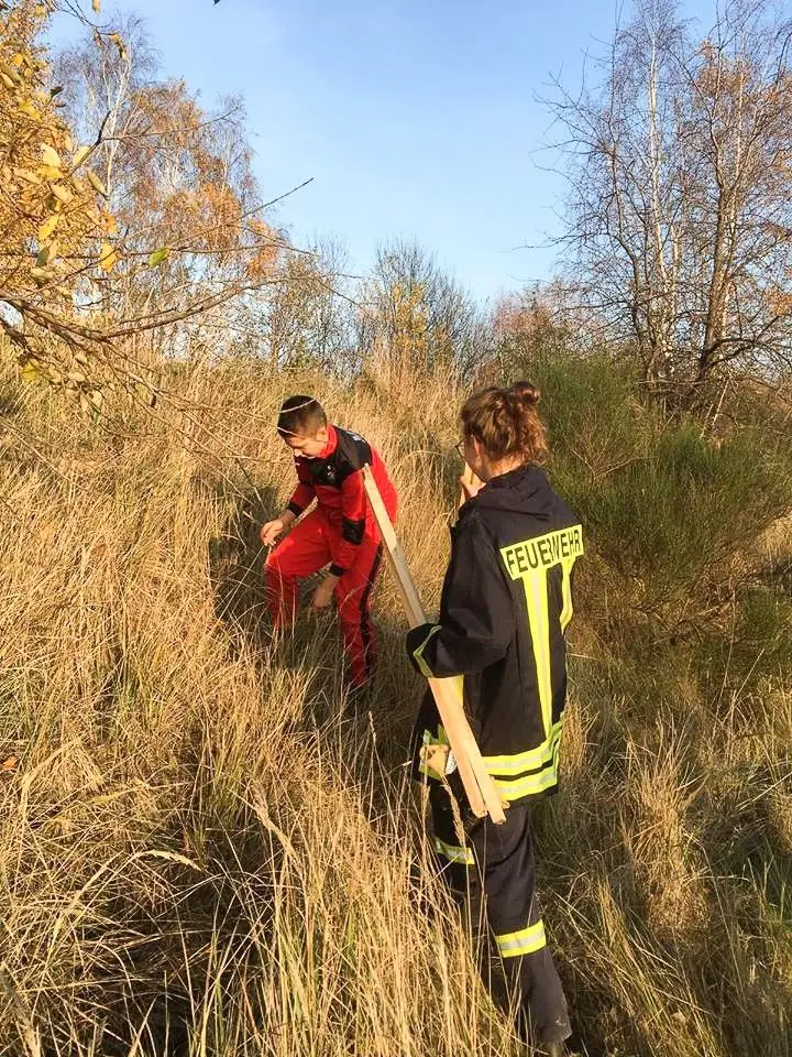 Czerna: posadzili 100 lip dla Niepodległej