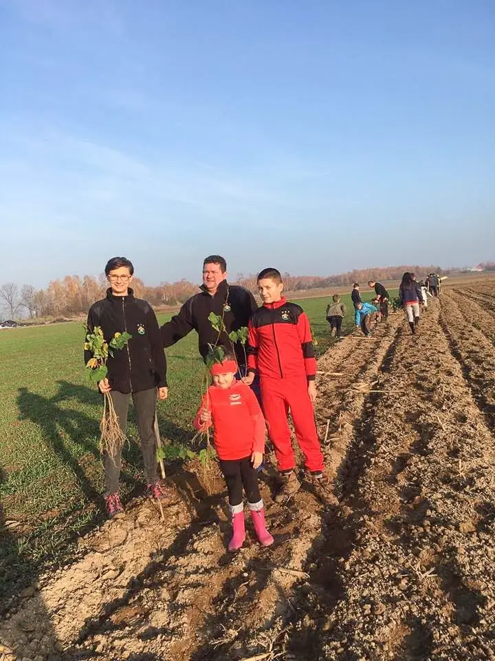 Czerna: posadzili 100 lip dla Niepodległej