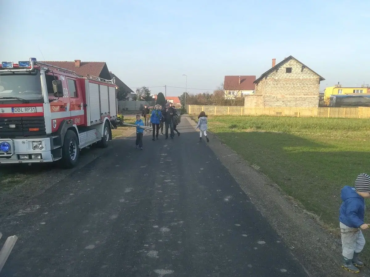 Czerna: posadzili 100 lip dla Niepodległej