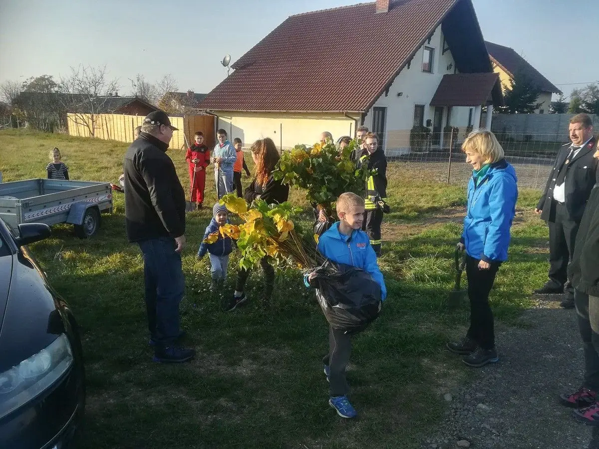 Czerna: posadzili 100 lip dla Niepodległej