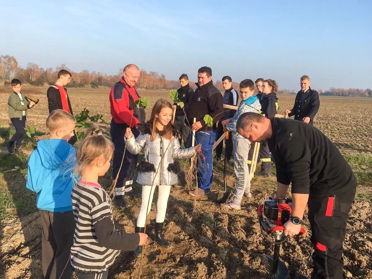 Czerna: posadzili 100 lip dla Niepodległej