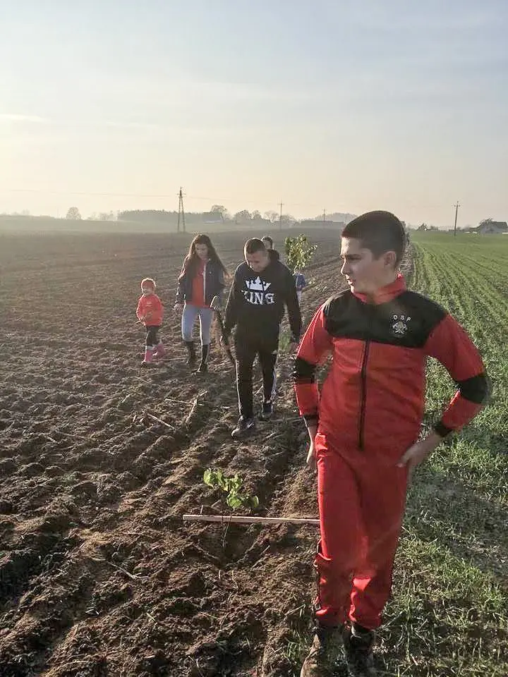 Czerna: posadzili 100 lip dla Niepodległej
