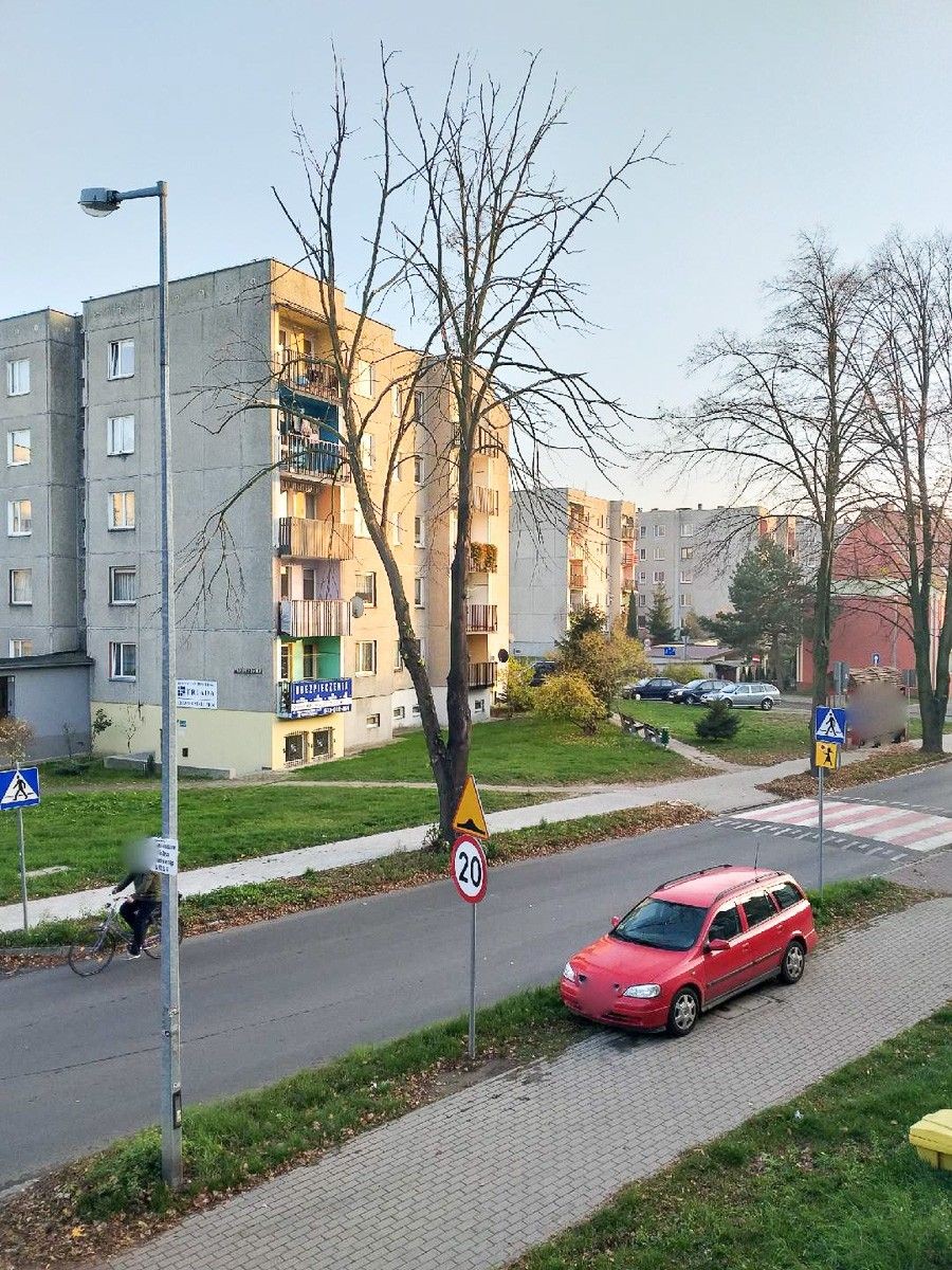 Usunęli niebezpieczne drzewo na Dolnych Młynach. Czytelnik: „Ręce opadają”