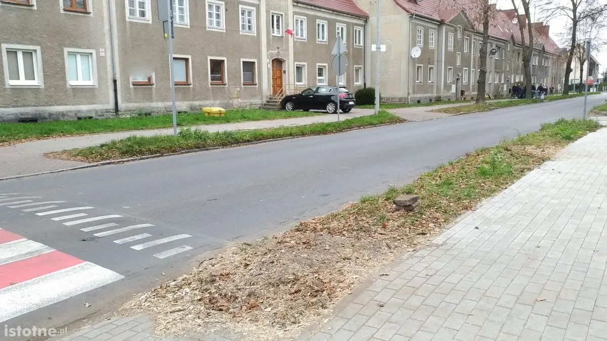 Zdjęcie z 16 listopada