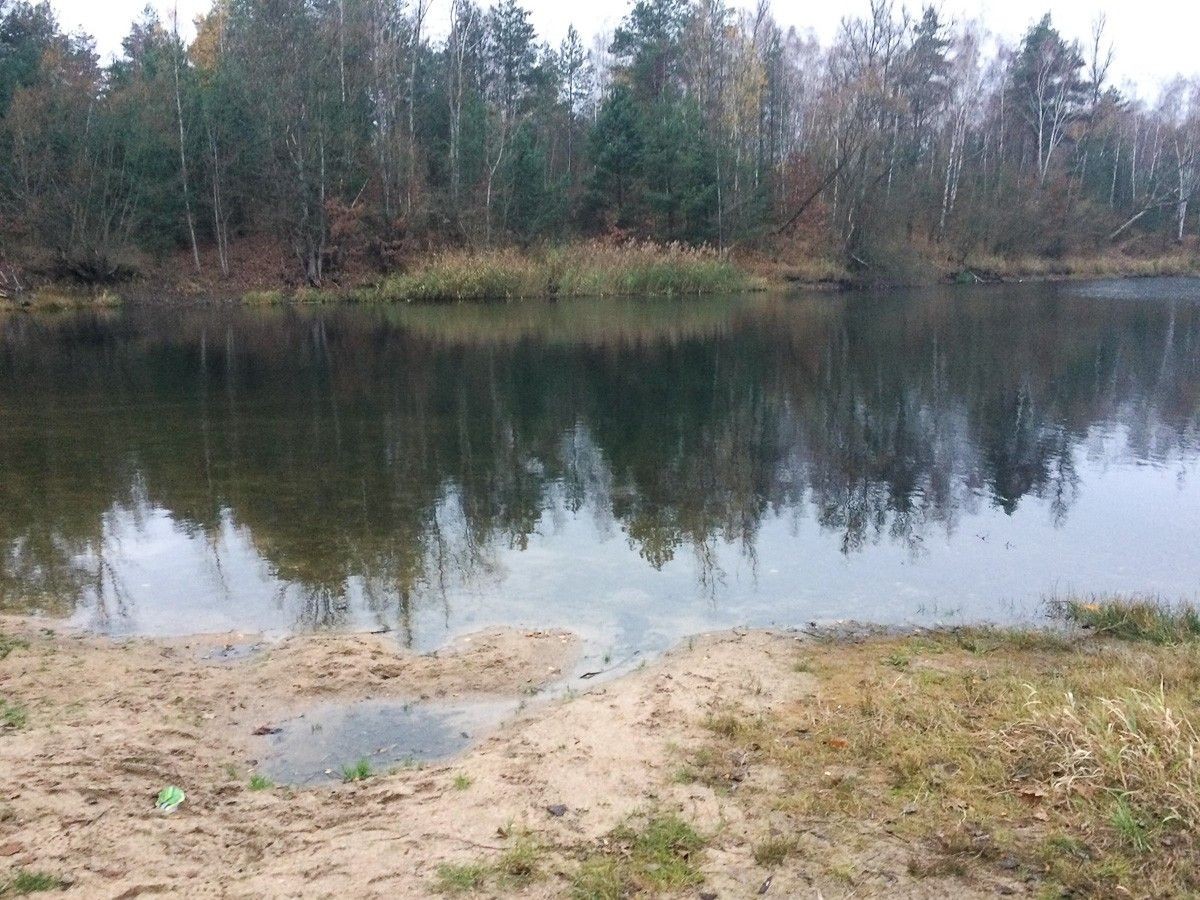 Bolesławianie nietypowo uczcili 100-lecie Niepodległości. Posprzątali plaże żwirowni