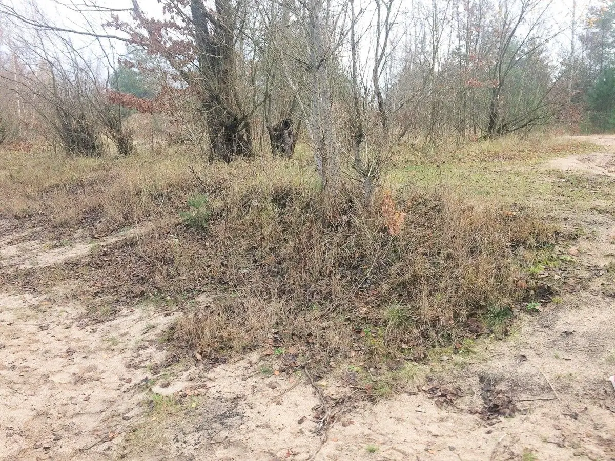 Bolesławianie nietypowo uczcili 100-lecie Niepodległości. Posprzątali plaże żwirowni
